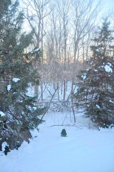 Building Photo - 58 Overlook Dr