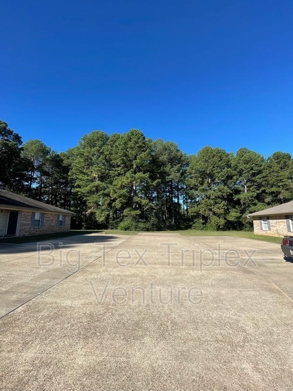 Building Photo - 282 N Pecan St