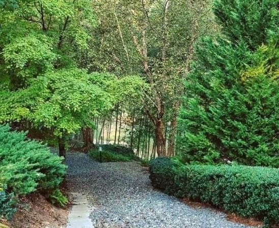 Building Photo - 2663 Rivers Edge Dr NE