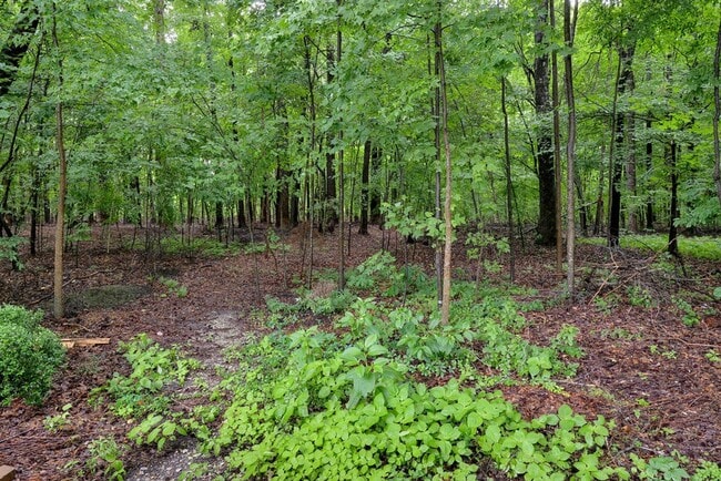 Building Photo - Spacious Home on Wooded Lot!