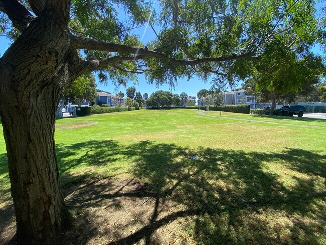 Building Photo - Completely Remodeled 2 Bedroom, 2 Bathroom...