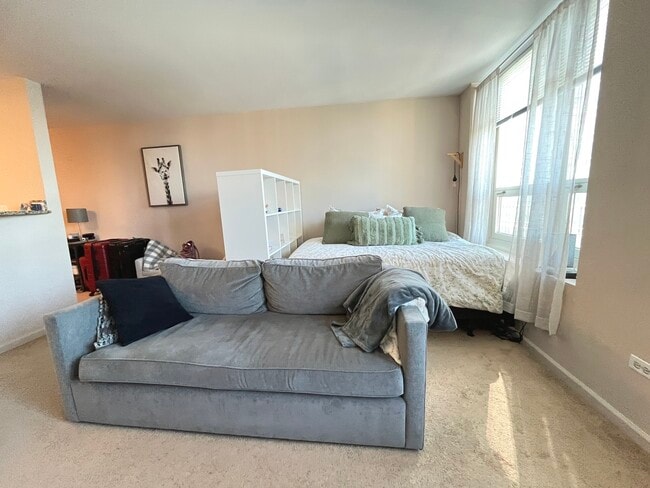 Building Photo - 345 N La Salle Dr