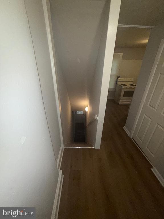 Building Photo - 663 Kohn St