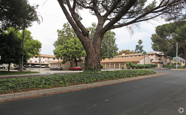 Building Photo - Town Center Apartments