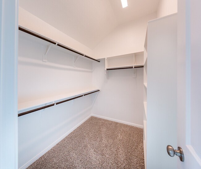 Building Photo - 3317 Rolling View Ct