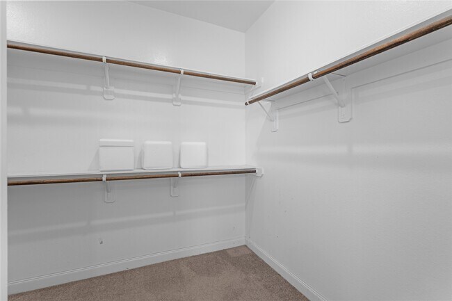 Building Photo - 4303 Shaded Arbor Way