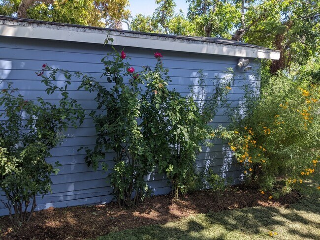 rose garden - 7716 Lexington Ave