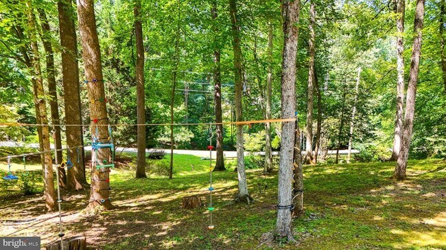 Building Photo - 11109 Ravine Dr