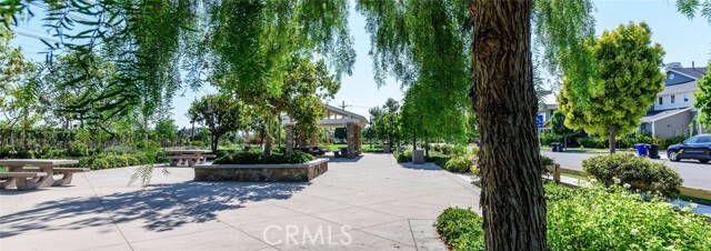 Building Photo - 61 Fringe Tree