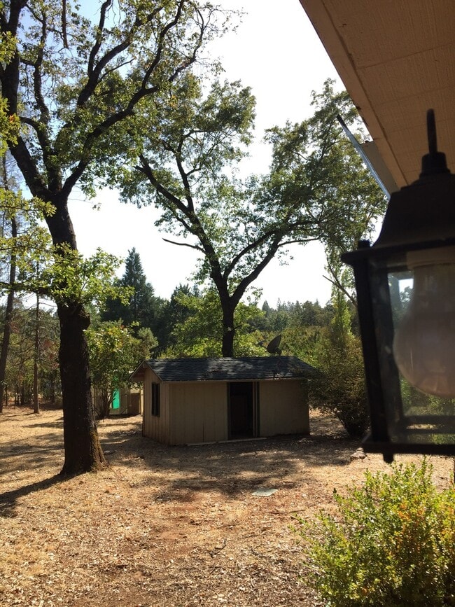 Building Photo - Country living