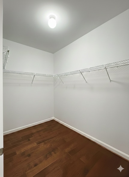 Walk in closet - 813 Deluca Rd