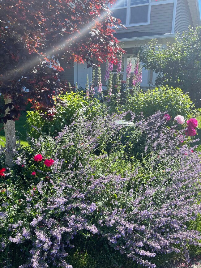 Building Photo - 15407 36th Dr SE