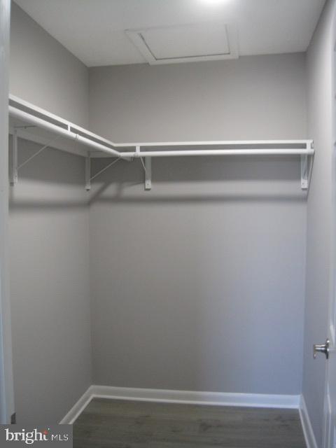 Building Photo - 810 W Spring Meadow Ct