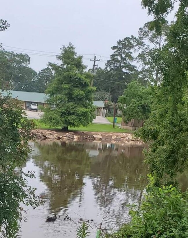 Building Photo - 353 Bayou Rd