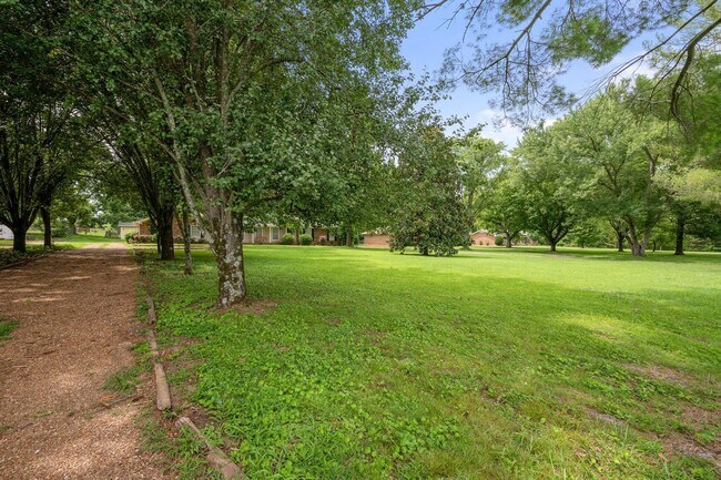 Building Photo - Beautiful Brick Ranch Home in Franklin