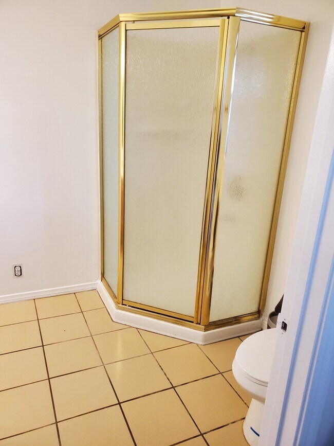 Shower - 1045 Palm Ave
