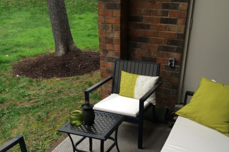 Patio with grass backyard - 1725 S Hayes St