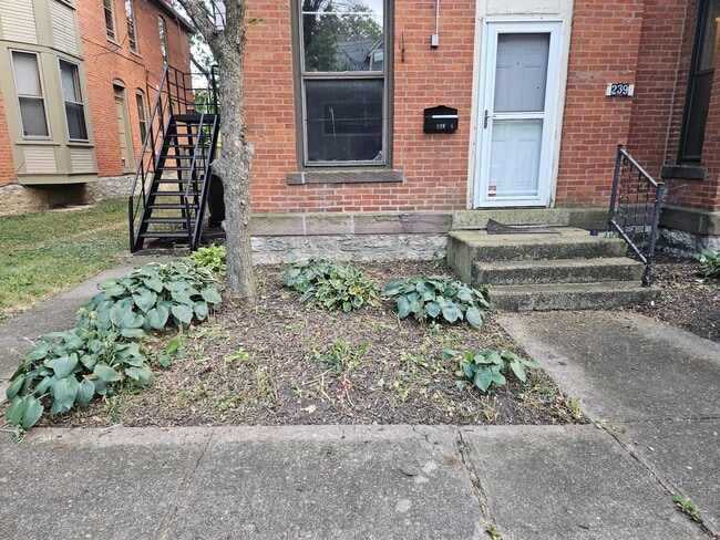 Building Photo - 239 Wilber Ave