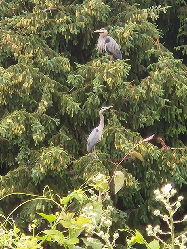 Building Photo - Beautiful 3 Bed / 2 Bath House With a Gorgeous View!