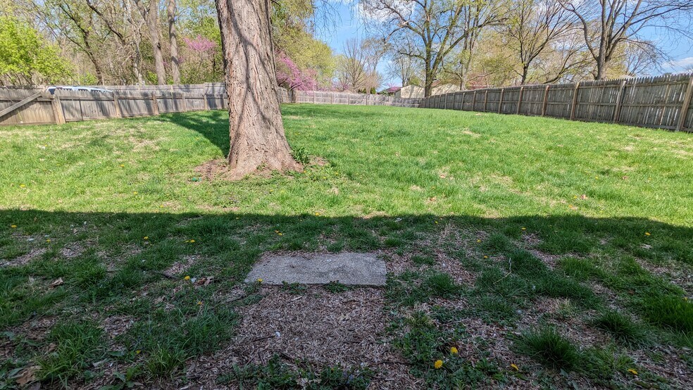 Backyard - 1125 65th Street
