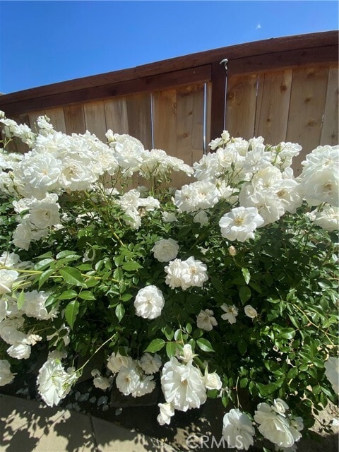 Building Photo - 25662 Cresta Loma