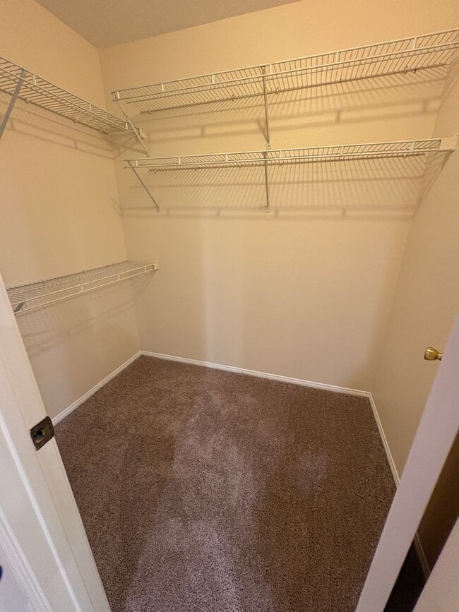Building Photo - Beautiful Single-Story 3 Bedroom, 2 bath Home with Solar in Desirable East Highlands Ranch!