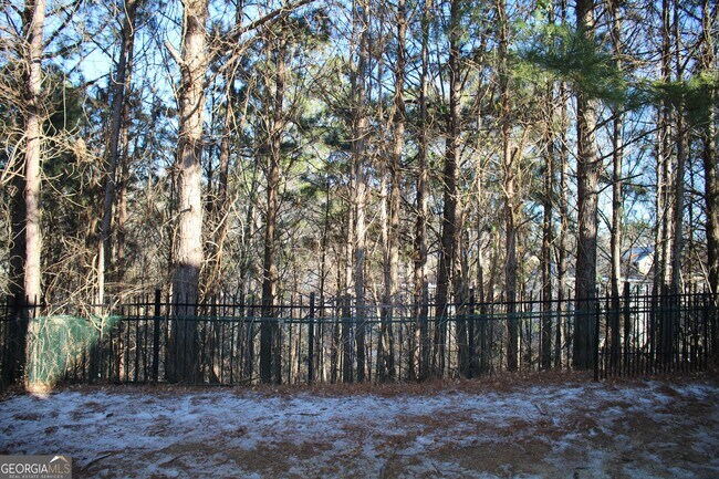 Building Photo - 3328 Castleberry Village Cir