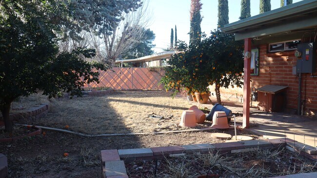 Building Photo - Spacious