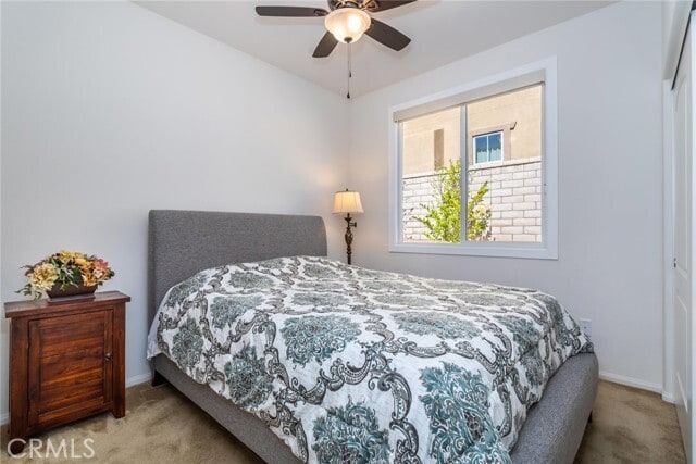 Building Photo - 28629 Farrier Dr