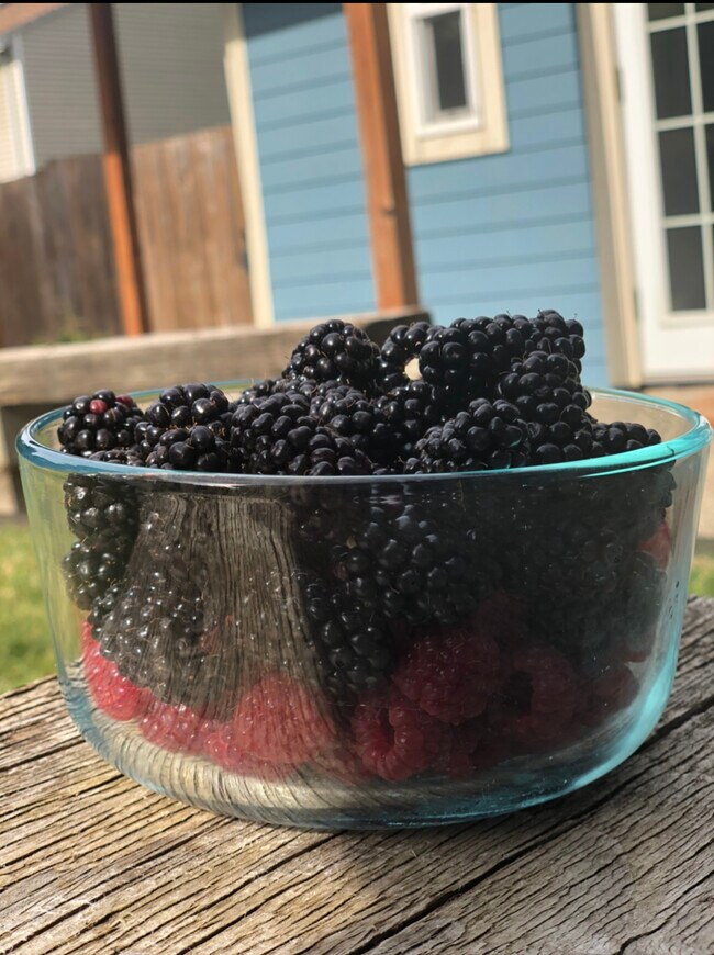 Building Photo - 4537 SE Mitchell St