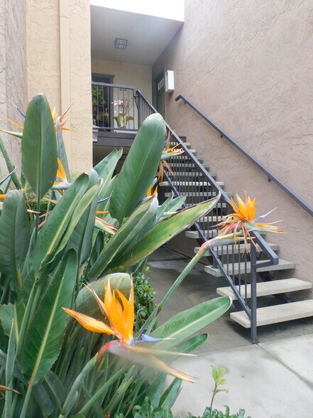 Building Photo - 175 Avenida Descanso