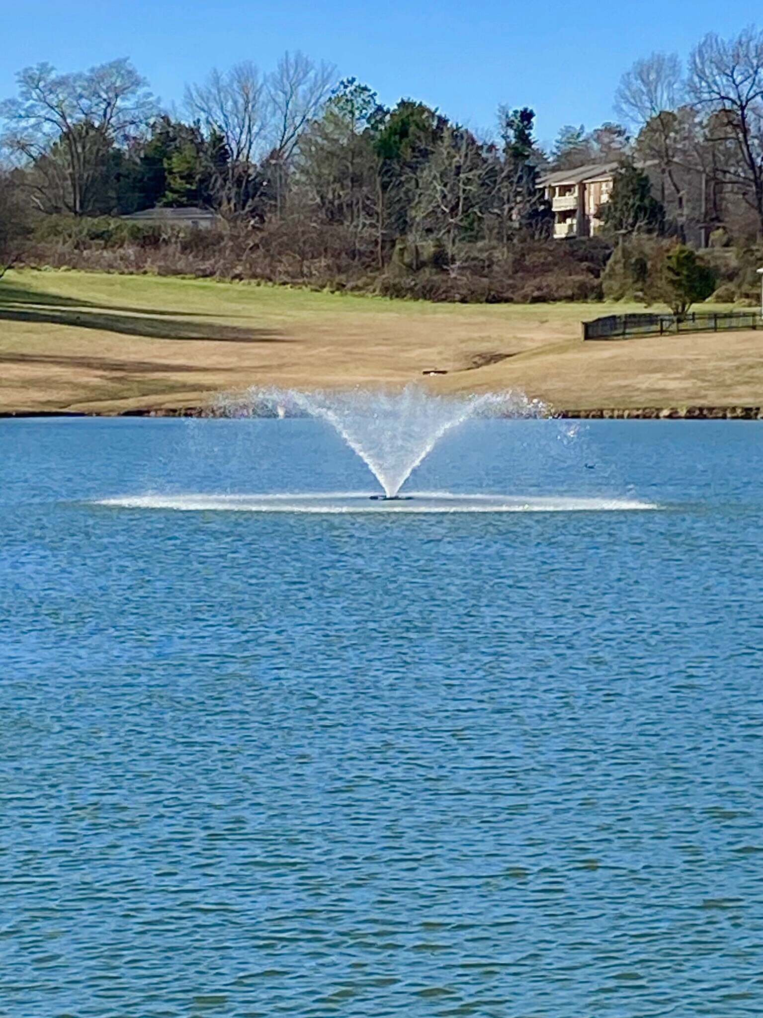 Amazing unobstructed views of huge pond with fountain, ducks, and private fishing pier! - 1914 Conifer Cir