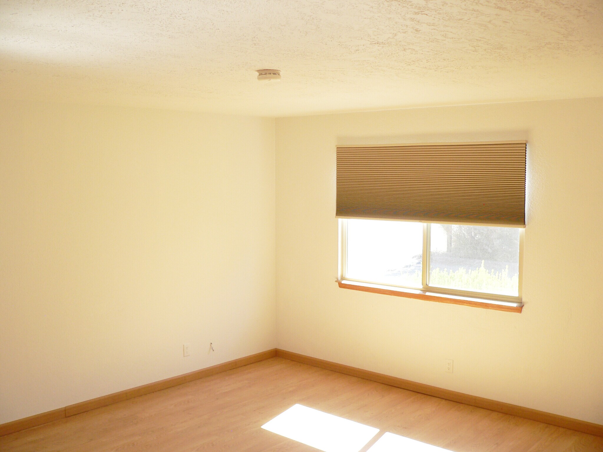 Master bed - 1808 Tramway Terrace Loop NE