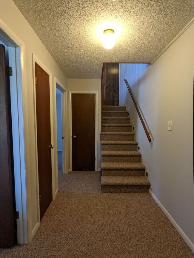 Building Photo - Black Mountain Duplex Rental!