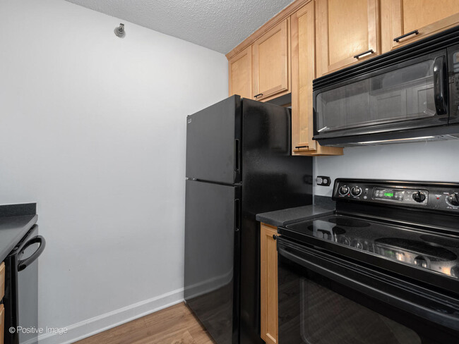 Building Photo - 1212N N La Salle Dr