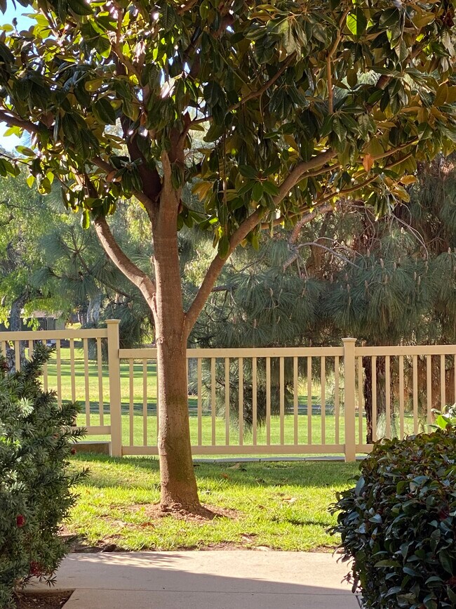 Primary Photo - 3183 Dehesa Rd