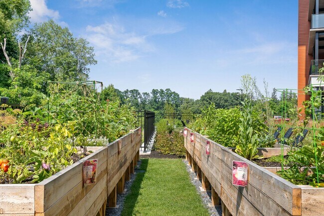 Building Photo - ONE25: Pet-Friendly 1-Bed with Balcony, Do...