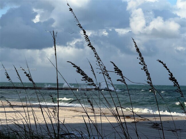 Building Photo - 9801 Collins Ave