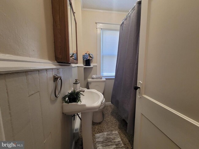 Building Photo - 537 N Loudoun St