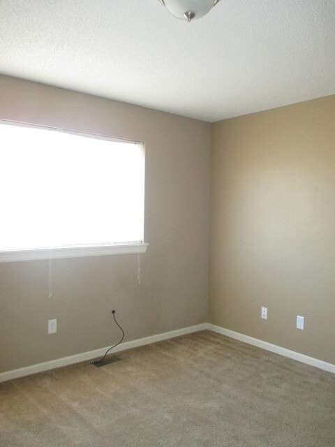 Building Photo - 909 Whitetail Ct