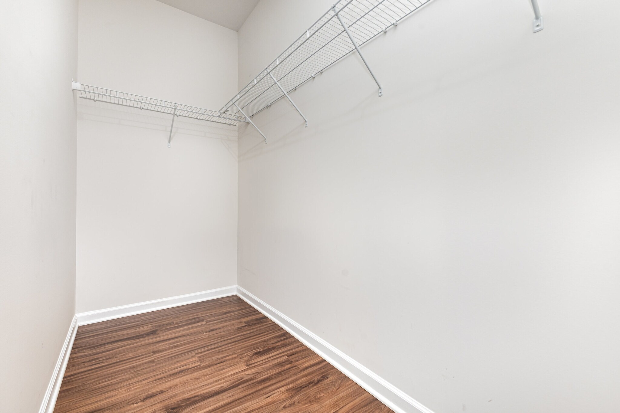 Building Photo - 3629 Cerelia Ln