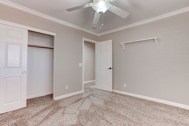 Building Photo - 809 Royal Birch Ln
