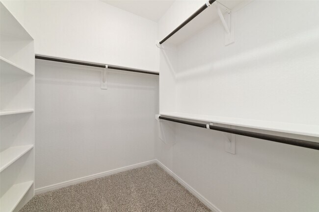 Building Photo - 135 W Coralburst Lp