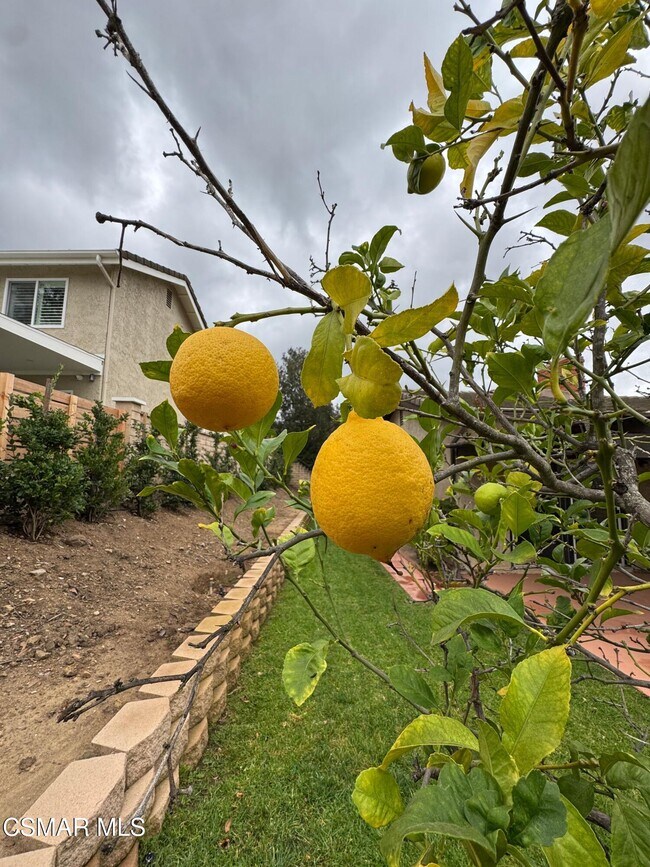 Building Photo - 358 Mooncrest Ct