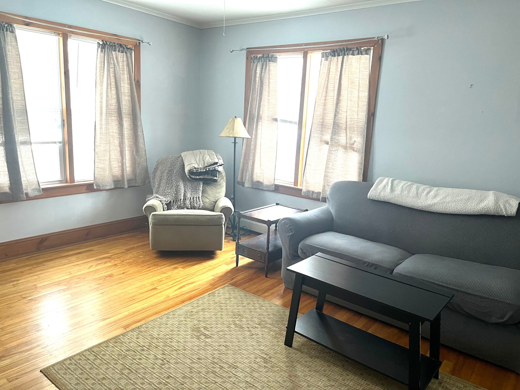 Living room - 45 Mount Hope Ave