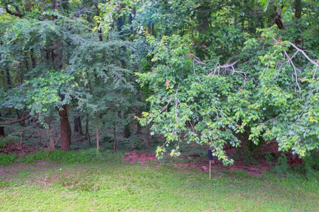 Building Photo - Single story 3 bed, 2 bath home in North Durham on half an acre!