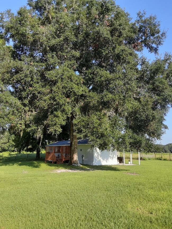 Building Photo - Adorable 2 Bedroom Mobile