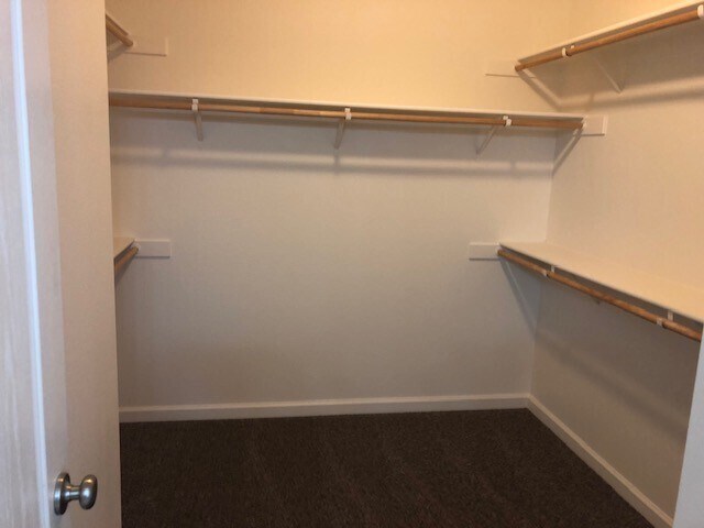 Building Photo - 124 Palermo Way