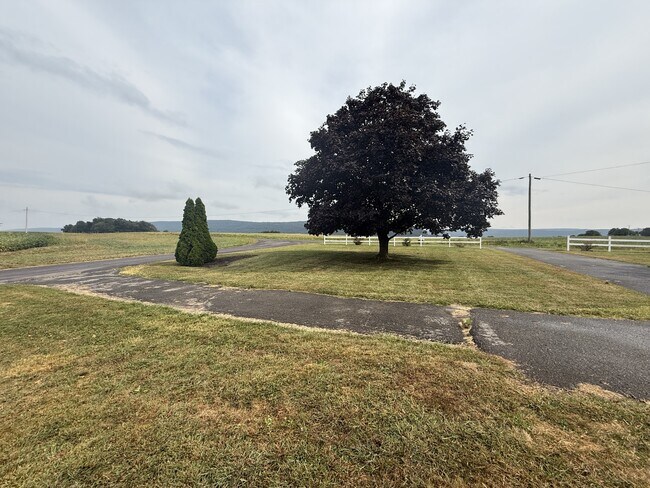 Building Photo - 157 Shade Rd