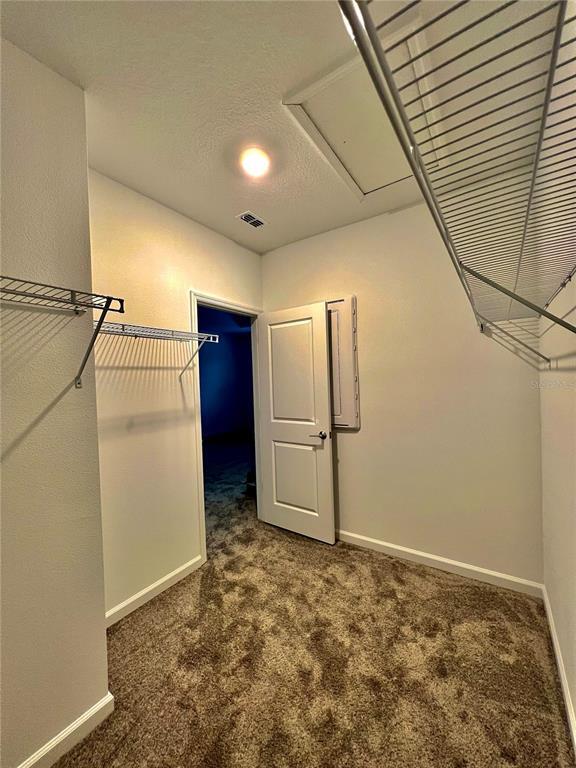 Building Photo - 7528 Stone Crk Trl